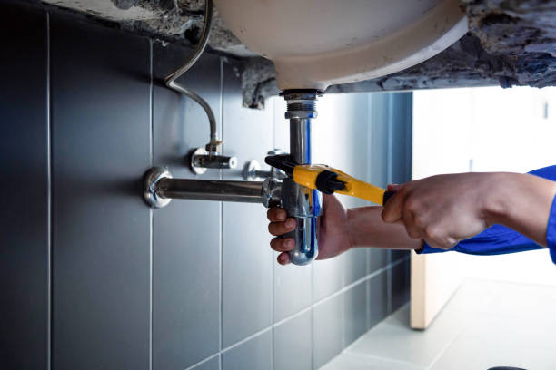 Best Residential Plumbing Services  in Conesus Lake, NY